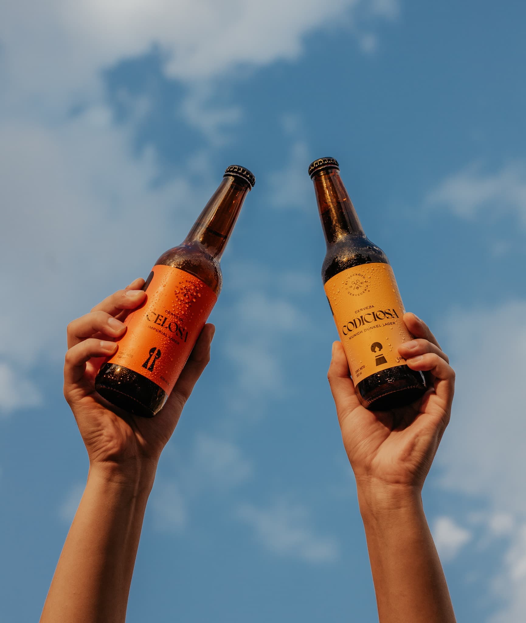 Cerveceria el secreto 1881 portfolio background